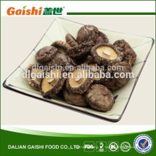 cogumelo de shiitake secado liso de alta qualidade